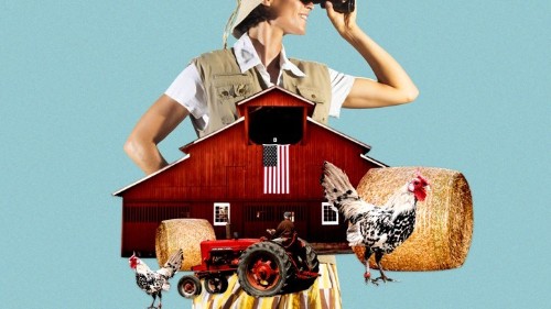On Safari in Trump's America