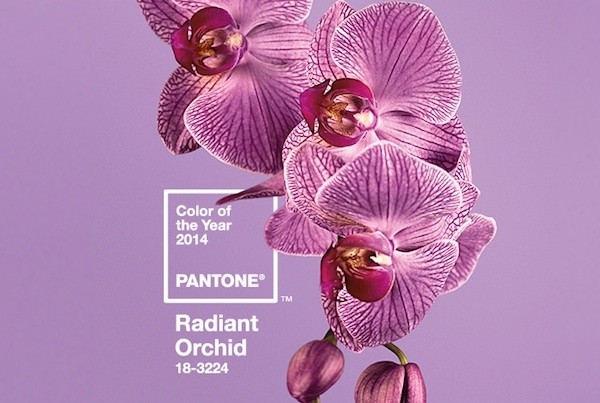 And the Pantone Color of the Year Is…