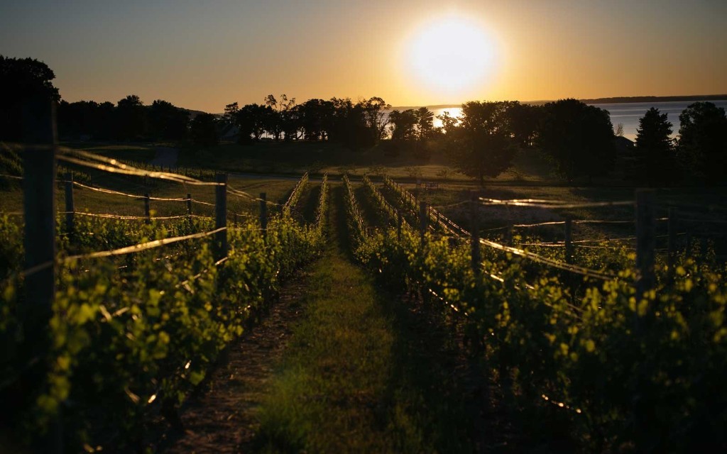 Wine Tasting Around the World - cover