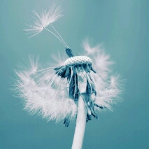 Flipboard profile picture for @might
