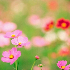 Flipboard profile picture for @gprs
