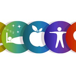 health food and drink - cover