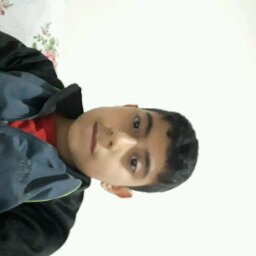 Flipboard profile picture for @pleads