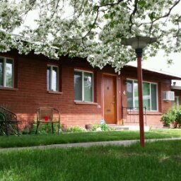 Flipboard profile picture for @Widowed