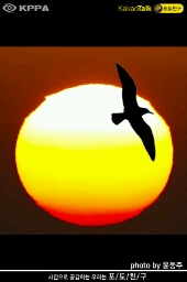 Flipboard profile picture for @chickened
