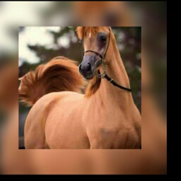 Flipboard profile picture for @alternator