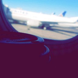 The Legendary Canary - cover