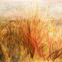 Avatar - Mary Duckworth Demis Mimouna