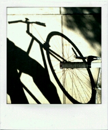 Flipboard profile picture for @lomez