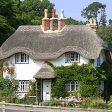 محمود المظلوم - portada