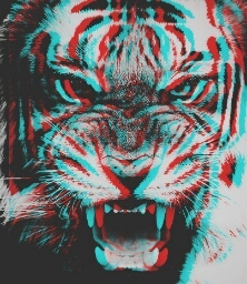 Flipboard profile picture for @s3t