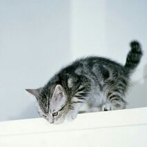 Flipboard profile picture for @beggar