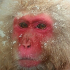 Flipboard profile picture for @Southpark