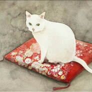 Flipboard profile picture for @closeouts