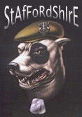 Flipboard profile picture for @StAfFoRdShIrE