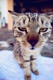 Flipboard profile picture for @kidnapper
