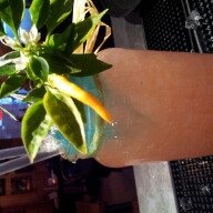 Flipboard profile picture for @flavour