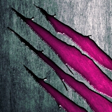 Flipboard profile picture for @Elicit
