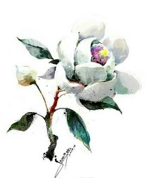 Flipboard profile picture for @endurance