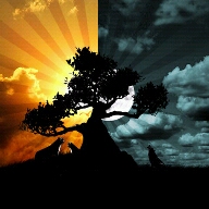 Flipboard profile picture for @psychobabble
