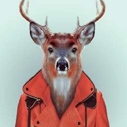Flipboard profile picture for @krss