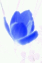 Flipboard profile picture for @vaishnavi