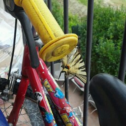 Laura “Vampire Heart' 78” - cover