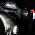 Flipboard profile picture for @paparazzo