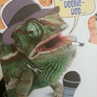 Flipboard profile picture for @casserole