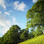 Flipboard profile picture for @diabetes