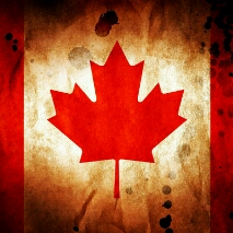 Flipboard profile picture for @renovations