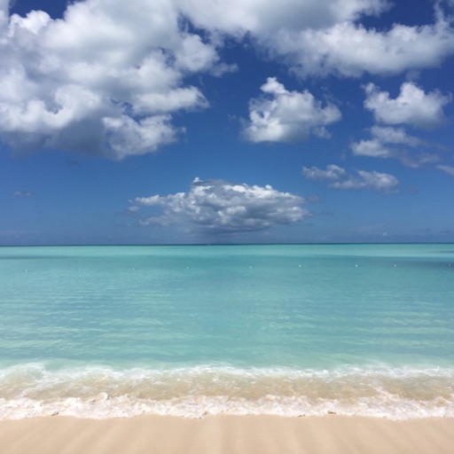 Darrnell Bradshaw - cover