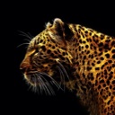 Flipboard profile picture for @downer