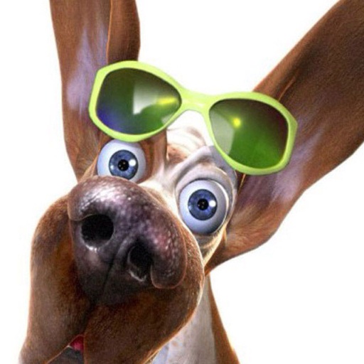 Flipboard profile picture for @piha