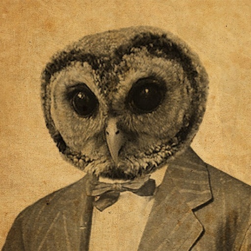 Avatar - Sophisticated Owl