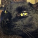 Flipboard profile picture for @dave