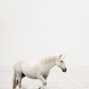 Flipboard profile picture for @rumourS