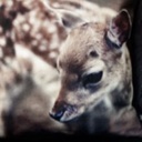 Flipboard profile picture for @peed