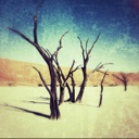 Flipboard profile picture for @Mummy