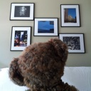 Flipboard profile picture for @willard