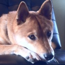 Flipboard profile picture for @nonsensical
