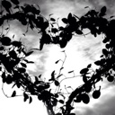 Flipboard profile picture for @valentine