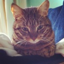 Flipboard profile picture for @iris