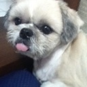 Flipboard profile picture for @sir