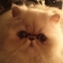 Flipboard profile picture for @mika
