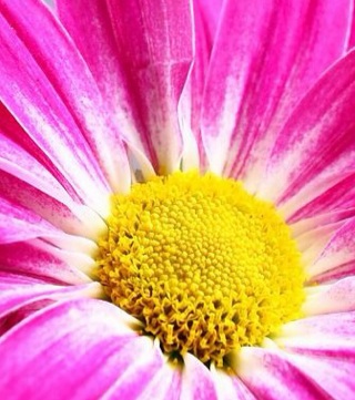 Flipboard profile picture for @Theres