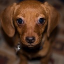 Flipboard profile picture for @witt