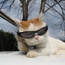 Flipboard profile picture for @Elric
