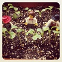 Flipboard profile picture for @penne