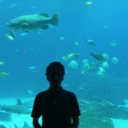 Flipboard profile picture for @essam